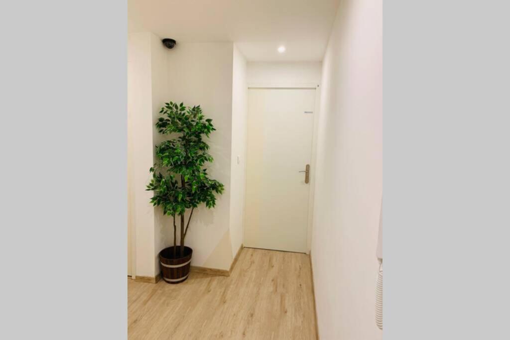 מנוסק Provence Appartement מראה חיצוני תמונה